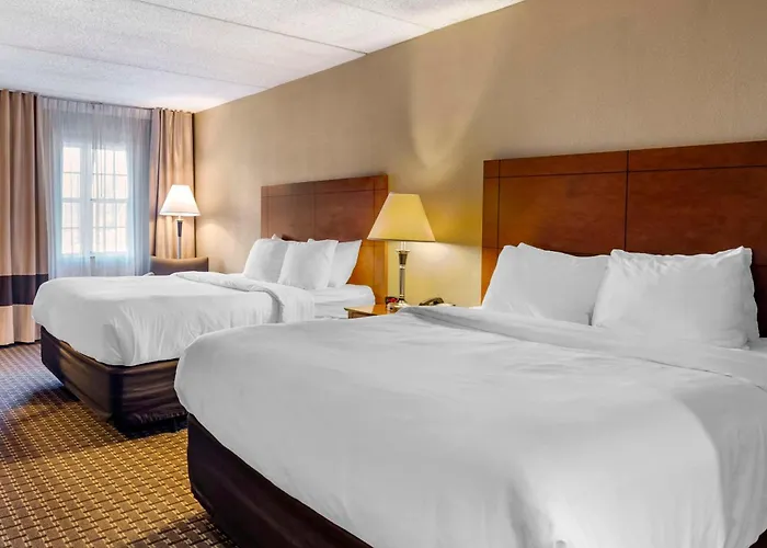 Comfort Inn & Suites Raphine - Lexington Near I-81 And I-64